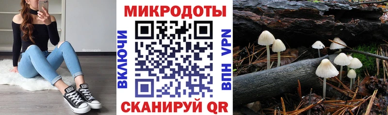 kraken ТОР  Георгиевск  Галлюциногенные грибы прущие грибы  где найти наркотики 